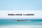 专业网站seo优化托管（seo托管的好处）