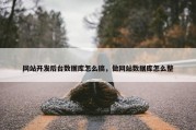 网站开发后台数据库怎么搞，做网站数据库怎么整