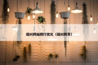 绍兴网站排行优化（绍兴网页）