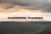 武汉企业网站建设教程？ 武汉企业建站系统？