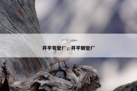 开平弯管厂，开平钢管厂