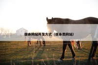健身网站开发方式（健身类网站）