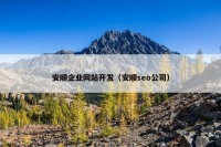 安顺企业网站开发（安顺seo公司）