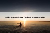 网站优化哪家评价高些（网站优化公司哪家效果好）