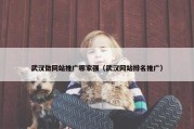 武汉做网站推广哪家强（武汉网站排名推广）