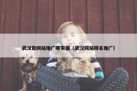 武汉做网站推广哪家强（武汉网站排名推广）