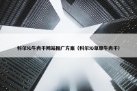 科尔沁牛肉干网站推广方案（科尔沁草原牛肉干）