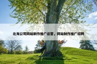 北海公司网站制作推广运营，网站制作推广招聘