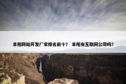 阜阳网站开发厂家排名前十？ 阜阳有互联网公司吗？