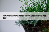 海外网站建设法律法规大全（海外网站建设法律法规大全最新）