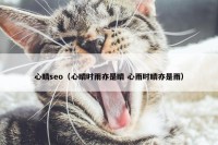 心晴seo（心晴时雨亦是晴 心雨时晴亦是雨）
