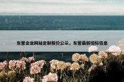 东营企业网站定制报价公示，东营最新招标信息