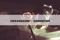 沈阳专业网站定制推广，沈阳网站制作策划