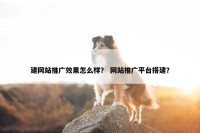 建网站推广效果怎么样？ 网站推广平台搭建？