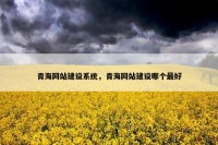 青海网站建设系统，青海网站建设哪个最好