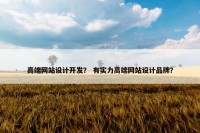 高端网站设计开发？ 有实力高端网站设计品牌？