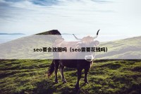 seo要会改图吗（seo需要花钱吗）