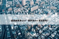 韶关拼多多seo？ 拼多多seo 优化软件？