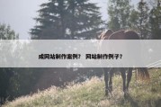 成网站制作案例？ 网站制作例子？
