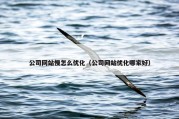公司网站慢怎么优化（公司网站优化哪家好）