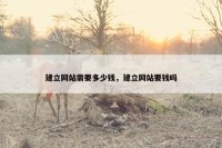 建立网站需要多少钱，建立网站要钱吗