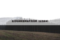盐池电商联盟网站开发招聘（盐池商城）