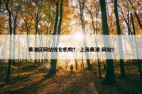 黄浦区网站优化机构？ 上海黄浦 网站？