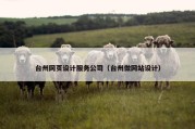 台州网页设计服务公司（台州做网站设计）