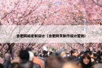 合肥网站定制设计（合肥网页制作设计营销）