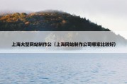 上海大型网站制作公（上海网站制作公司哪家比较好）