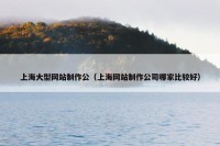 上海大型网站制作公（上海网站制作公司哪家比较好）