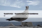 专业软件开发？ 专业软件开发的SQA环境有哪些特点?？