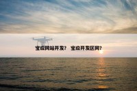 宝应网站开发？ 宝应开发区网？