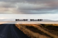潍坊seo培训？ 潍坊seo霸屏？