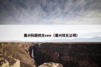 嘉兴标题优化seo（嘉兴优化公司）
