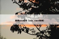 微博seo成功（seo_caso微博）