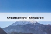 东莞专业网站定制多少钱？ 东莞网站设计定制？