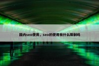 国内seo使用，seo的使用有什么限制吗