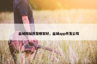 盐城网站开发哪家好，盐城app开发公司