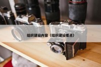 组织建设内容（组织建设要点）