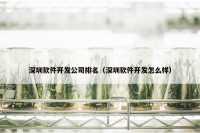 深圳软件开发公司排名（深圳软件开发怎么样）