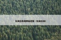 拉米拉高端网站定制（拉米拉米）