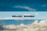 新界seo优化？ 新界官网地址？