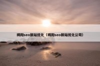 揭阳seo新站优化（揭阳seo新站优化公司）