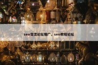 seo交流论坛推广，seo教程论坛