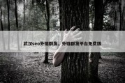 武汉seo外链群发，外链群发平台免费版