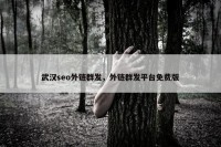 武汉seo外链群发，外链群发平台免费版