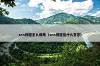seo标题怎么调用（seo标题是什么意思）