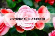 vivo手机网站开发，vivo开发版官网下载