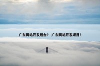 广东网站开发后台？ 广东网站开发项目？